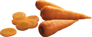 Carrot PNG image-4976